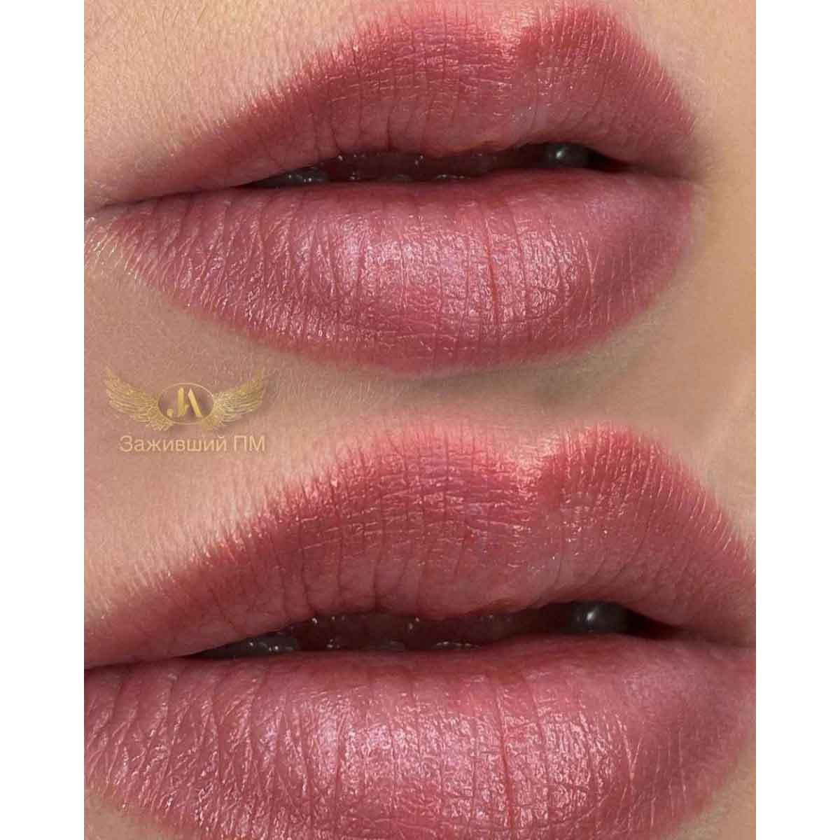 Brovi XOXO Lip Pigment - Cocoa Beans