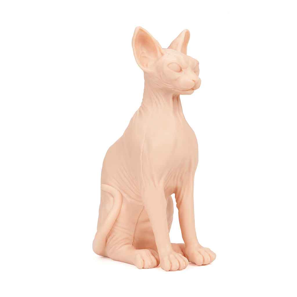 A Pound of Flesh Tattooable Naked Cat - Element Tattoo Supply
