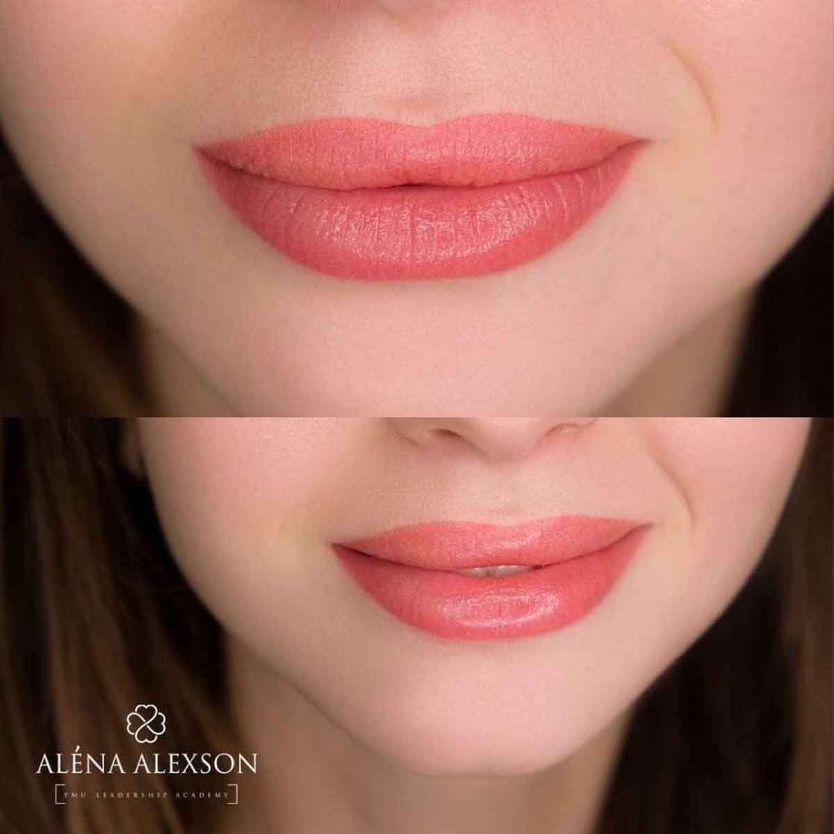 brovi lip pigment xoxo