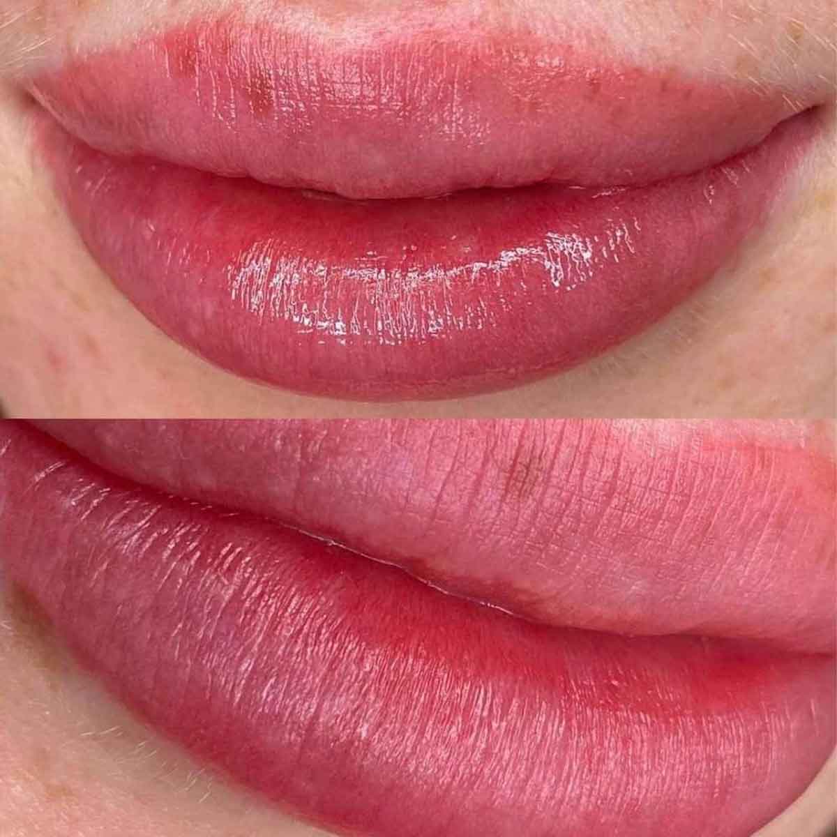 Close-up of a person's lips showing a before-and-after style comparison of lip color and hydration. The top image shows slightly drier, matte pink lips, while the bottom image shows fuller, smoother, and shinier pink lips.